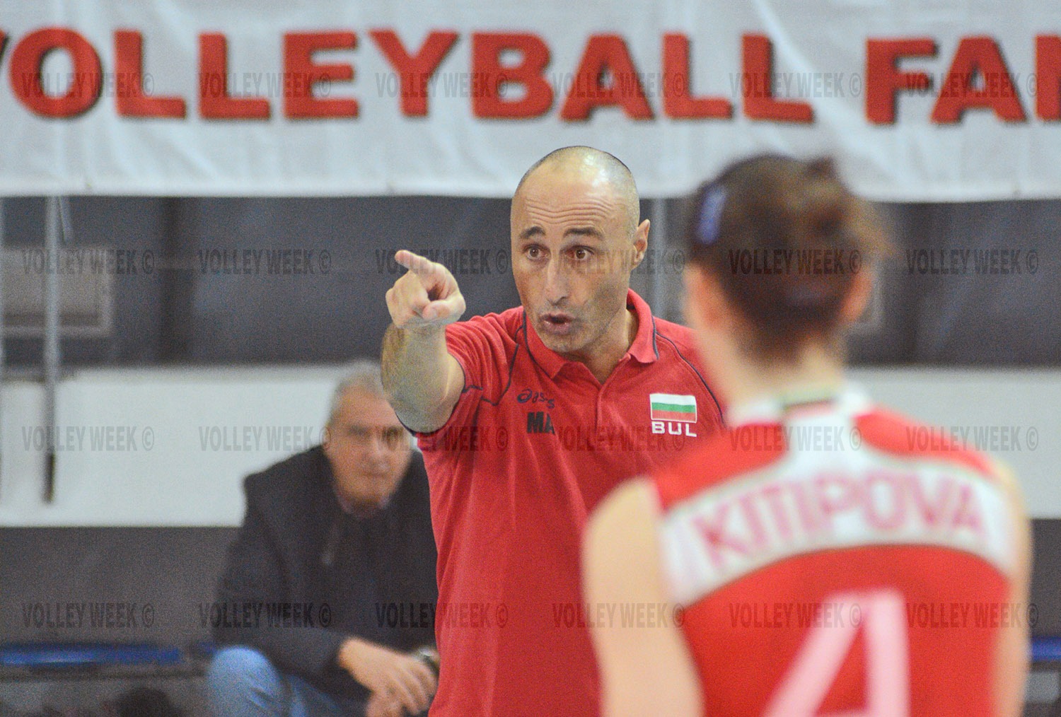 806/VAR_6431.jpg Image