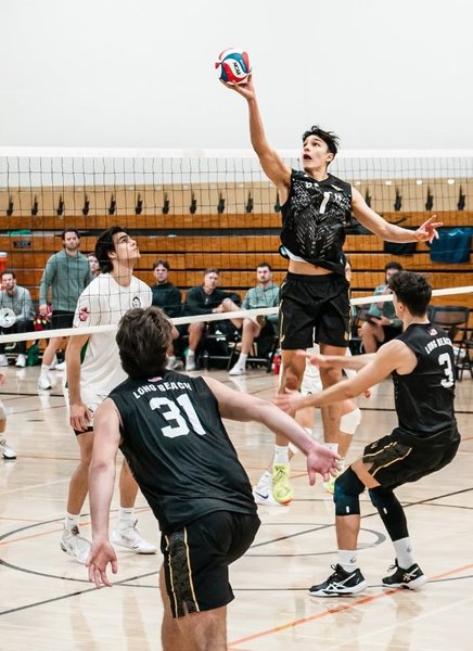 1118/monny.jpg Image