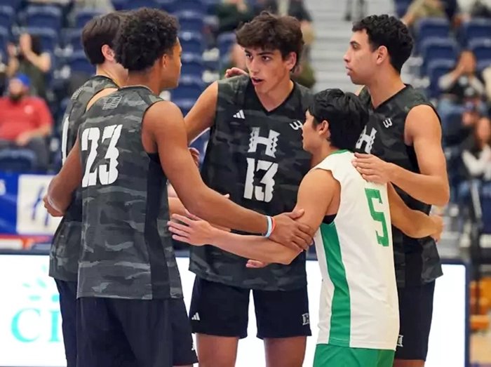 1713/quins.webp Image