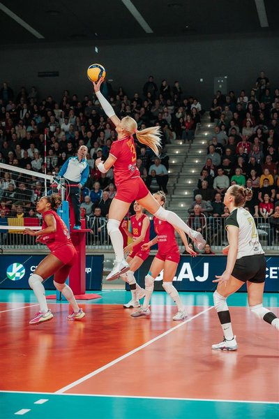 1714/1000052855.jpg Image