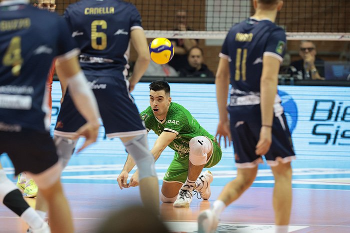 2338/ZANI3696.jpg Image