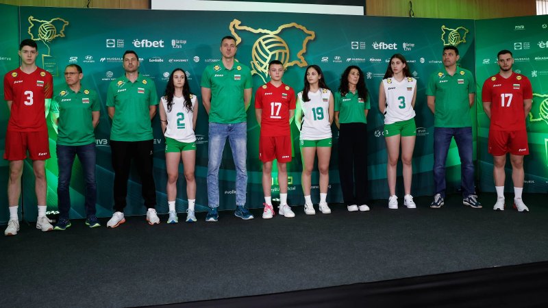 2382/image.webp Image