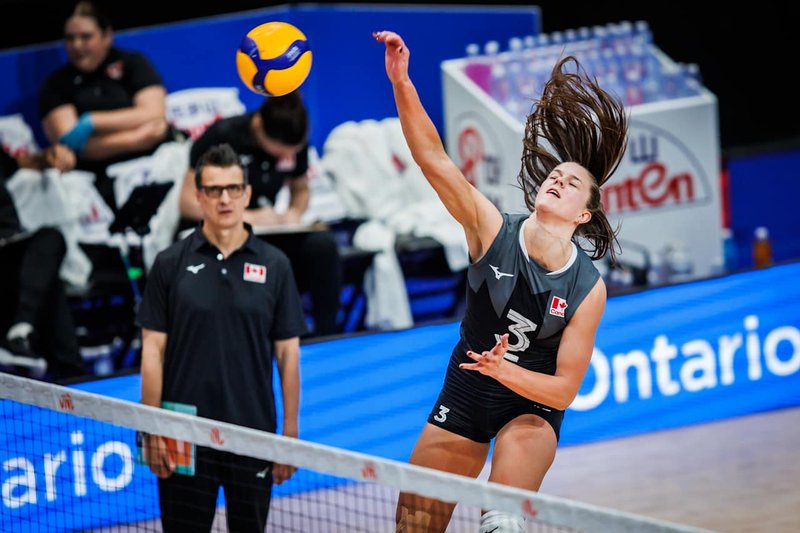 2485/ofkiczn1zlpq5k2qxzus.jpg Image