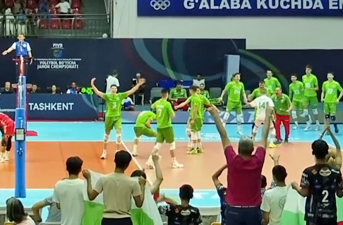 2931/jasmin.jpg Image