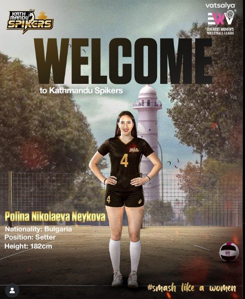 3141/setter.jpg Image