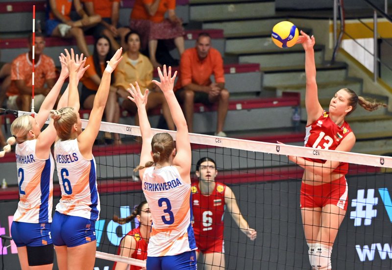 396/VAR_8981.jpg Image