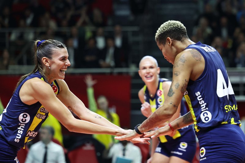 4133/9f5250d0-377c-402d-b517-a592a6da0eb9.jpg Image