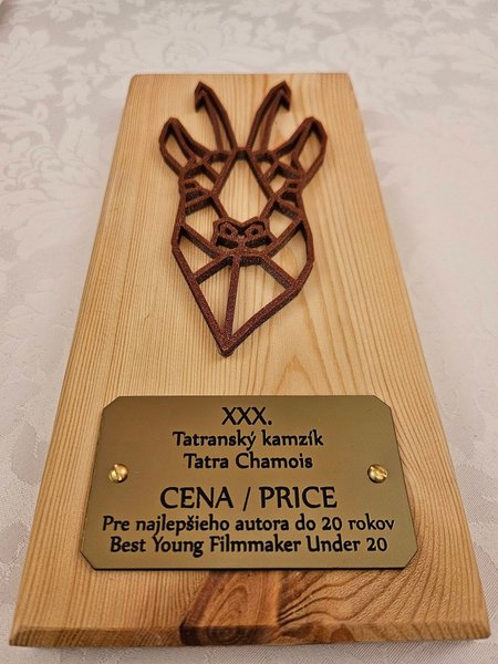 4231/590310282_1446970780768663_1699780199777164531_n.jpg Image