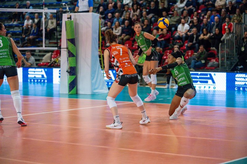 4298/3426179acb2286c621e041ba1c90233a.jpeg Image