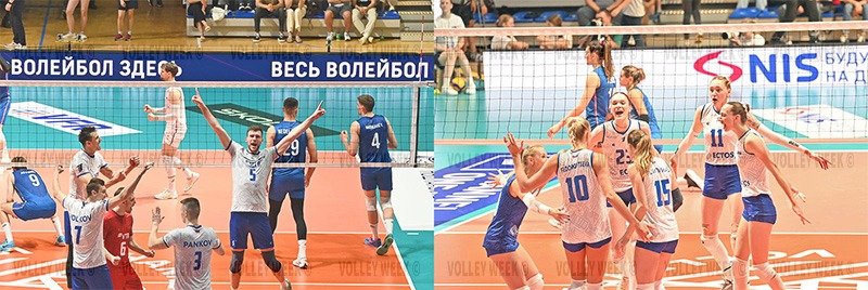 4369/collage.jpg Image