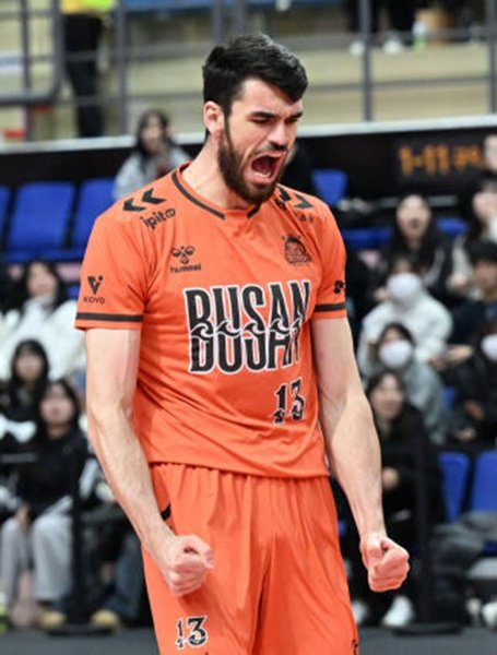 4637/0004016363_002_202512092240095681.jpg Image