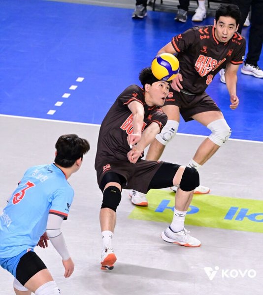 4935/0004031397_002_20260201170108779.jpg Image