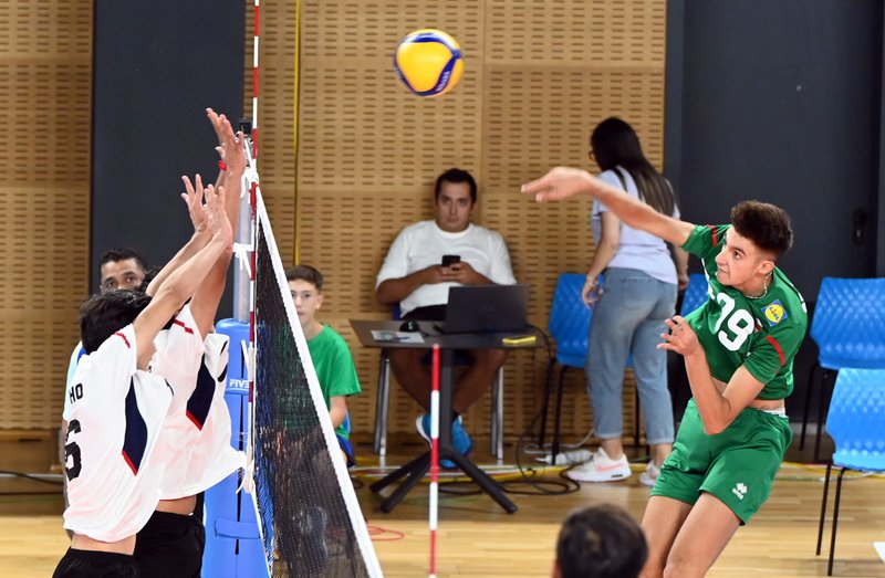 495/VAR_3993.jpg Image