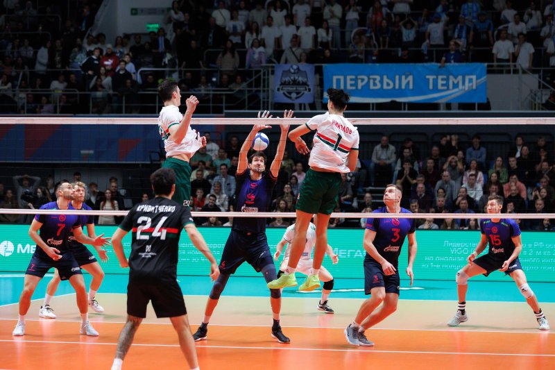 5013/photo_2025-11-23_10-56-12.jpg Image