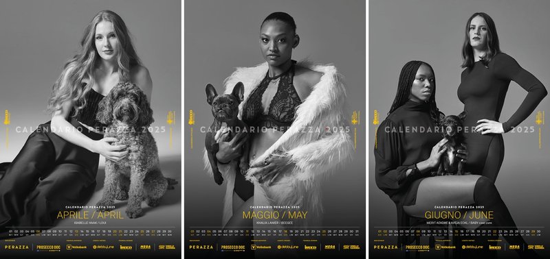 847/kalendar2.jpg Image