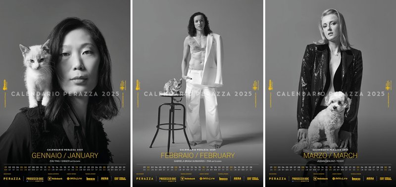 847/kalendar3.jpg Image